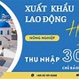 Công Ty Xklđ Vinacom Miền Bắc 2 Số 2 Là Sao Gì